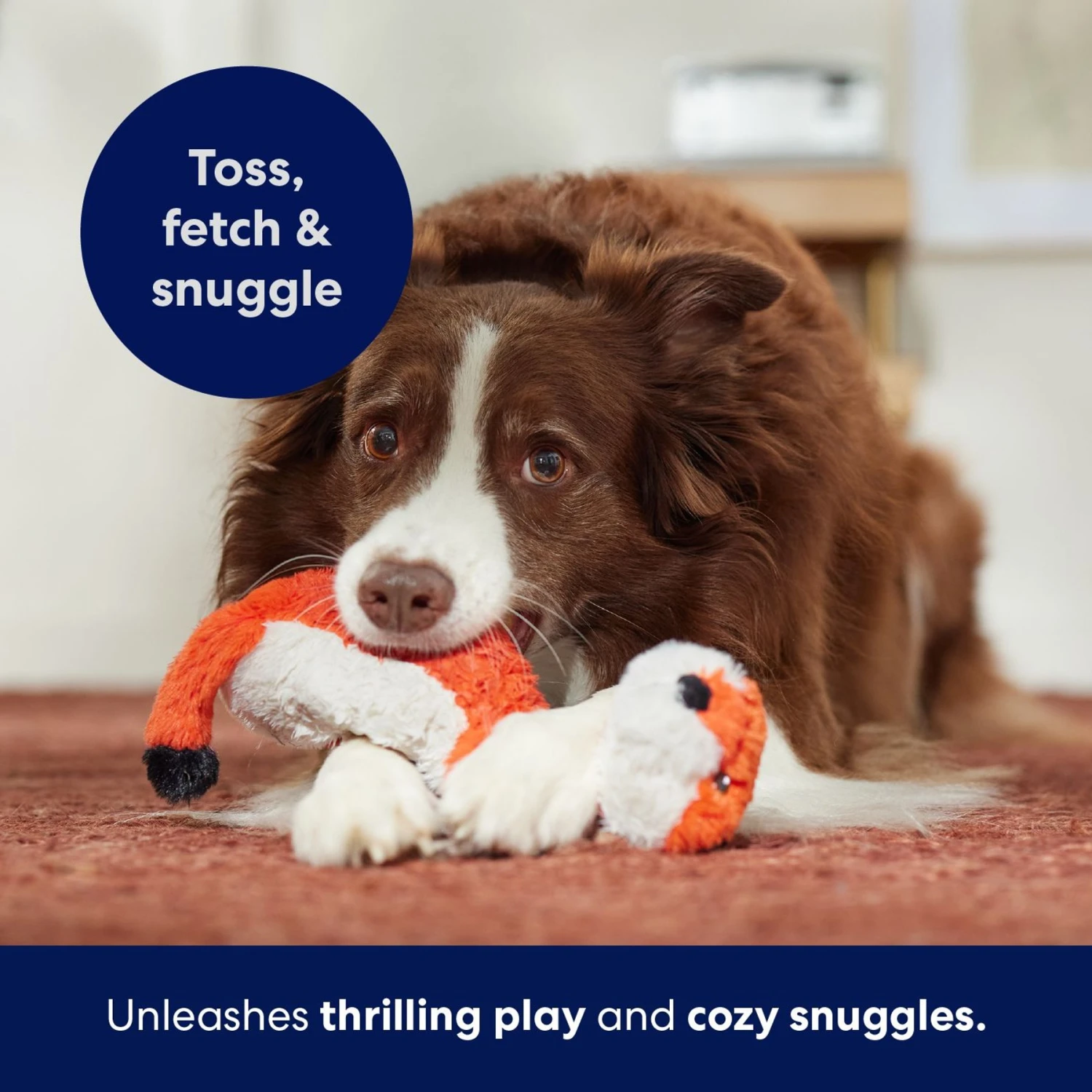 Frisco Fox Skinny Plush Squeaky Dog Toy 7 Frisco Fox Skinny Plush Squeaky Dog Toy - Image 5