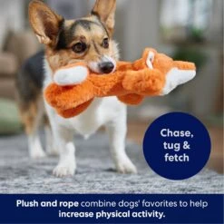 Frisco Fox Plush With Inside Rope Squeaky Dog Toy -Frisco 147065 PT4. AC SS1800 V1695671059