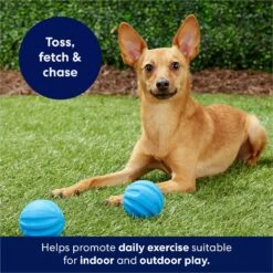 Frisco Foam Rubber Floating Fetch Ball No Squeak Dog Toy 12 Frisco Foam Rubber Floating Fetch Ball No Squeak Dog Toy -Frisco 152798 PT4. AC SS1800 V1686579140