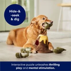 Frisco Volcano Hide & Seek Puzzle Plush Squeaky Dog Toy 10 Frisco Volcano Hide & Seek Puzzle Plush Squeaky Dog Toy -Frisco 152810 PT3. AC SS1800 V1686079871