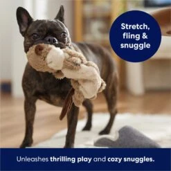 Frisco Beaver Bungee Plush Squeaky Dog Toy 12 Frisco Beaver Bungee Plush Squeaky Dog Toy -Frisco 152824 PT5. AC SS1800 V1686580146