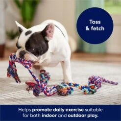 Frisco Rope Multipack Dog Toy 8 Frisco Rope Multipack Dog Toy -Frisco 152838 PT2. AC SS1800 V1686579143