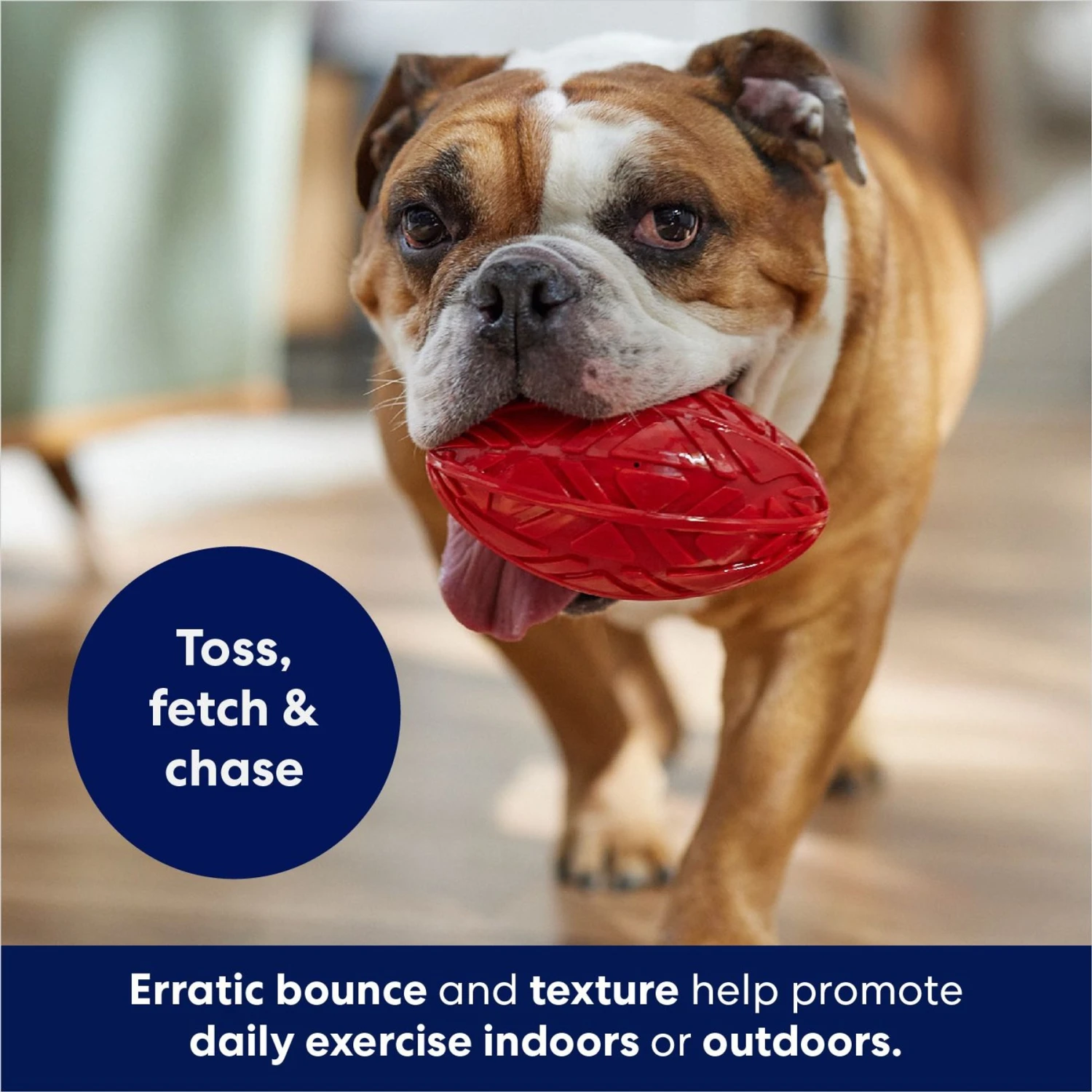 Frisco Football TPR Squeaky Dog Toy 6 Frisco Football TPR Squeaky Dog Toy - Image 4