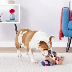 Frisco American Flag Bear Plush Squeaky Dog Toy -Frisco 157187 PT2. AC SS1800 V1559764047