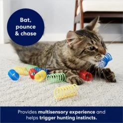 Frisco Colorful Springs Cat Toy 8 Frisco Colorful Springs Cat Toy -Frisco 161807 PT2. AC SS1800 V1678723849