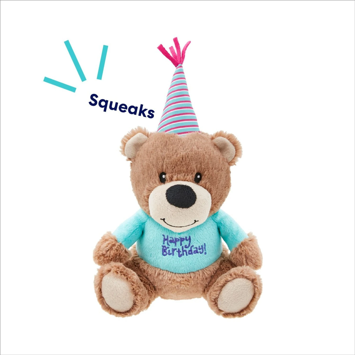 Frisco Birthday Bear Plush Squeaky Dog Toy 5 Frisco Birthday Bear Plush Squeaky Dog Toy - Image 3