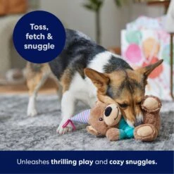 Frisco Birthday Bear Plush Squeaky Dog Toy 12 Frisco Birthday Bear Plush Squeaky Dog Toy -Frisco 162836 PT4. AC SS1800 V1695670999