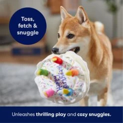 Frisco Birthday Cake Plush Squeaky Dog Toy -Frisco 162839 PT4. AC SS1800 V1695671061