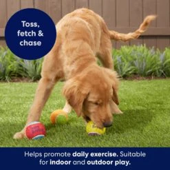 Frisco Birthday Fetch Squeaky Tennis Ball Dog Toy 12 Frisco Birthday Fetch Squeaky Tennis Ball Dog Toy -Frisco 162914 PT3. AC SS1800 V1692019914