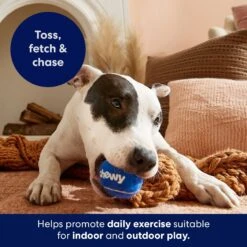 Frisco Chewy Fetch Squeaky Tennis Ball Dog Toy 12 Frisco Chewy Fetch Squeaky Tennis Ball Dog Toy -Frisco 164314 PT5. AC SS1800 V1691783910