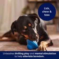 Frisco Flying Saucer Rubber Treat Dispenser Dog Toy 14 Frisco Flying Saucer Rubber Treat Dispenser Dog Toy -Frisco 164757 PT5. AC SS1800 V1691784247