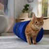 Frisco Foldable Play Tunnel With Mesh Cat Toy 1 Frisco Foldable Play Tunnel With Mesh Cat Toy -Frisco 166385 MAIN. AC SS1800 V1686579145