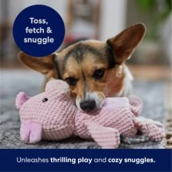 Frisco Pig Textured Plush Squeaky Dog Toy 12 Frisco Pig Textured Plush Squeaky Dog Toy -Frisco 174695 PT4. AC SS1800 V1695670689