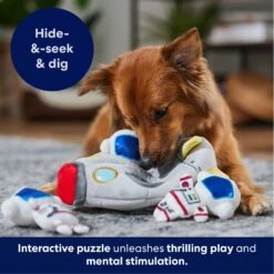 Frisco Rocket Ship Hide & Seek Puzzle Plush Squeaky Dog Toy 12 Frisco Rocket Ship Hide & Seek Puzzle Plush Squeaky Dog Toy -Frisco 174753 PT4. AC SS1800 V1695670750