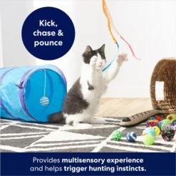 Frisco Plush, Teaser, Ball & Tri-Tunnel Variety Pack Cat Toy With Catnip, 20 Count 10 Frisco Plush, Teaser, Ball & Tri-Tunnel Variety Pack Cat Toy With Catnip, 20 Count -Frisco 178161 PT3. AC SS1800 V1678723898