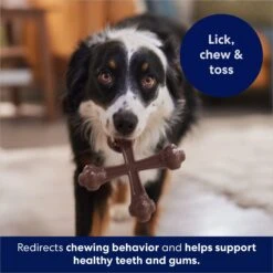 Frisco Bacon Flavor Tough Nylon Dog Chew Toy 12 Frisco Bacon Flavor Tough Nylon Dog Chew Toy -Frisco 213430 PT5. AC SS1800 V1691783968