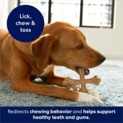 Frisco Peanut Butter Flavor Tough Nylon Dog Chew Toy 12 Frisco Peanut Butter Flavor Tough Nylon Dog Chew Toy -Frisco 213436 PT5. AC SS1800 V1692019972