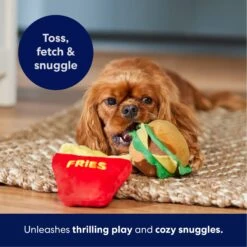 Frisco Burger & Fries Plush Squeaky Dog Toy 10 Frisco Burger & Fries Plush Squeaky Dog Toy -Frisco 213822 PT3. AC SS1800 V1695241915
