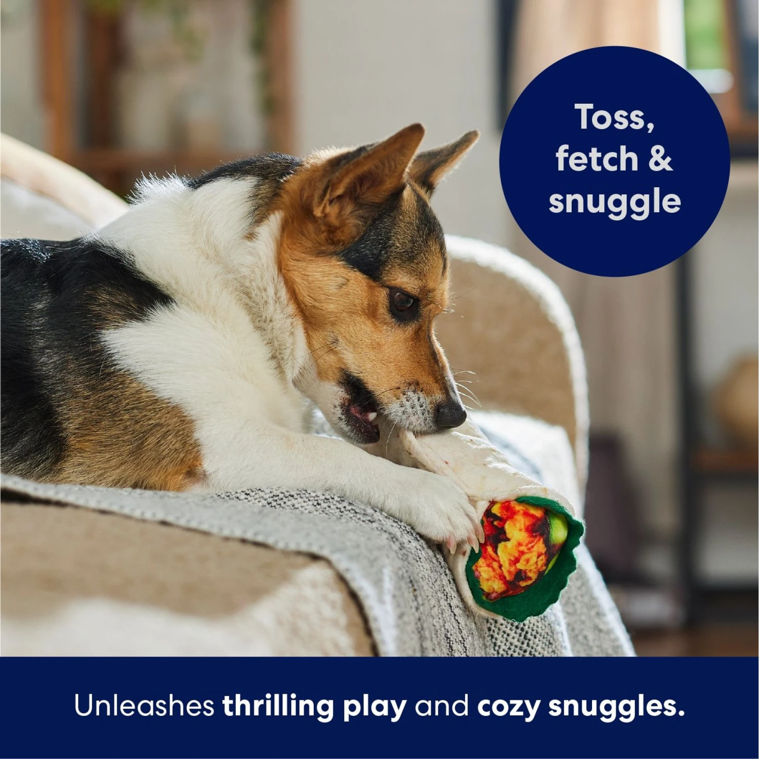 Frisco Burrito Plush Squeaky Dog Toy 7 Frisco Burrito Plush Squeaky Dog Toy - Image 5