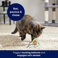 Frisco Dangly Avocado Buddy Plush Cat Toy With Catnip 10 Frisco Dangly Avocado Buddy Plush Cat Toy With Catnip -Frisco 213846 PT5. AC SS1800 V1691784029