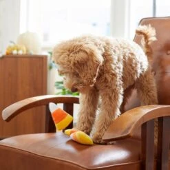 Frisco Halloween Candy Corn Plush Squeaky Dog Toy -Frisco 218619 PT6. AC SS1800 V1597599676