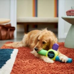 Frisco Retro Whack It! Ballistic Nylon Plush Squeaky Dog Toy -Frisco 230302 PT3. AC SS1800 V1601947283