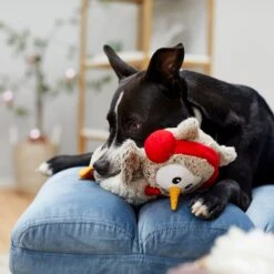 Frisco Holiday Owl Plush Squeaky Dog Toy 10 Frisco Holiday Owl Plush Squeaky Dog Toy -Frisco 233160 PT2. AC SS1800 V1601304724