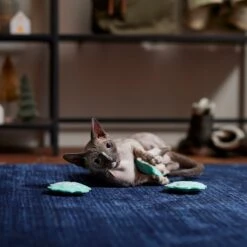 Frisco Snowflake Plush Cat Toy With Catnip, 3 Count 8 Frisco Snowflake Plush Cat Toy With Catnip, 3 Count -Frisco 233285 PT3. AC SS1800 V1661874178