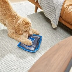 Frisco Zoomies & Chill TV Flat Plush Squeaky Dog Toy 9 Frisco Zoomies & Chill TV Flat Plush Squeaky Dog Toy -Frisco 241685 PT6. AC SS1800 V1610768399