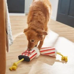 Frisco Zoomies & Chill Theatre Snacks Rope With Plush Squeaky Dog Toy 7 Frisco Zoomies & Chill Theatre Snacks Rope With Plush Squeaky Dog Toy -Frisco 241689 PT6. AC SS1800 V1610768279