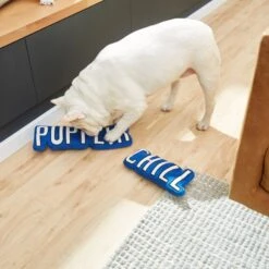 Frisco Zoomies & Chill Pupflix & Chill Plush Squeaky Dog Toy, 2 Count 7 Frisco Zoomies & Chill Pupflix & Chill Plush Squeaky Dog Toy, 2 Count -Frisco 241693 PT6. AC SS1800 V1610768429