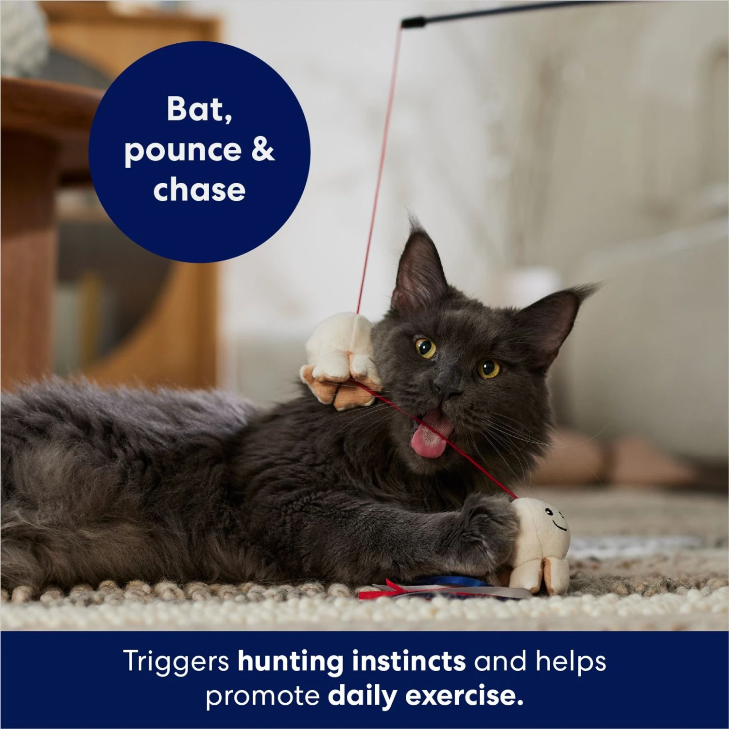 Frisco Zoomies & Chill Popcorn Teaser Wand Cat Toy With Catnip 6 Frisco Zoomies & Chill Popcorn Teaser Wand Cat Toy With Catnip - Image 4