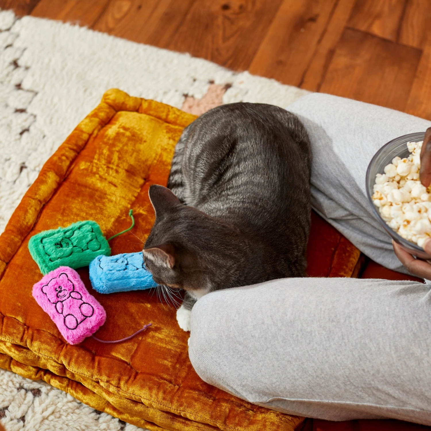 Frisco Zoomies & Chill Gummy Bear Plush Cat Toy With Catnip 5 Frisco Zoomies & Chill Gummy Bear Plush Cat Toy With Catnip - Image 3