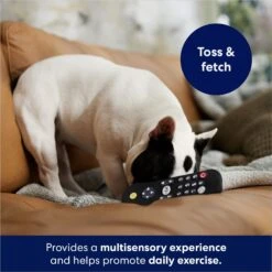 Frisco Zoomies & Chill Remote Latex Squeaky Dog Toy 10 Frisco Zoomies & Chill Remote Latex Squeaky Dog Toy -Frisco 241753 PT6. AC SS1800 V1686580150