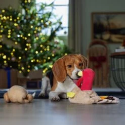 Frisco Holiday Turkey 2-in-1 Plush Squeaky Dog Toy 11 Frisco Holiday Turkey 2-in-1 Plush Squeaky Dog Toy -Frisco 244925 PT3. AC SS1800 V1661874063