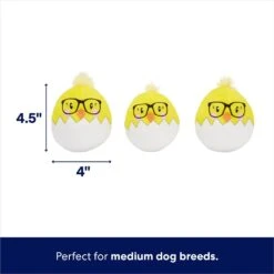 Frisco Spring Easter Egg Hide & Seek Plush Squeaky Dog Toy 10 Frisco Spring Easter Egg Hide & Seek Plush Squeaky Dog Toy -Frisco 248037 PT2. AC SS1800 V1700243718