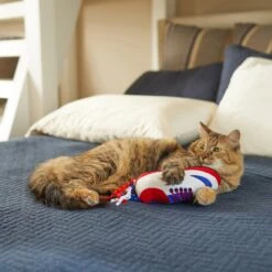 Frisco Baseball Cleat Cat Toy 7 Frisco Baseball Cleat Cat Toy -Frisco 252734 PT5. AC SS1800 V1615814504