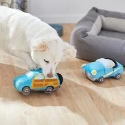 Frisco Road Trip Cruisers Plush Squeaky Dog Toy, 2 Count 7 Frisco Road Trip Cruisers Plush Squeaky Dog Toy, 2 Count -Frisco 261982 PT3. AC SS1800 V1618598560