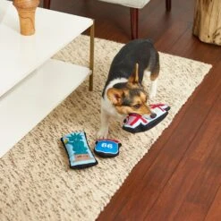 Frisco Road Trip Sightseeing Plush Squeaky Dog Toy, 3 Count 7 Frisco Road Trip Sightseeing Plush Squeaky Dog Toy, 3 Count -Frisco 262001 PT3. AC SS1800 V1618598716