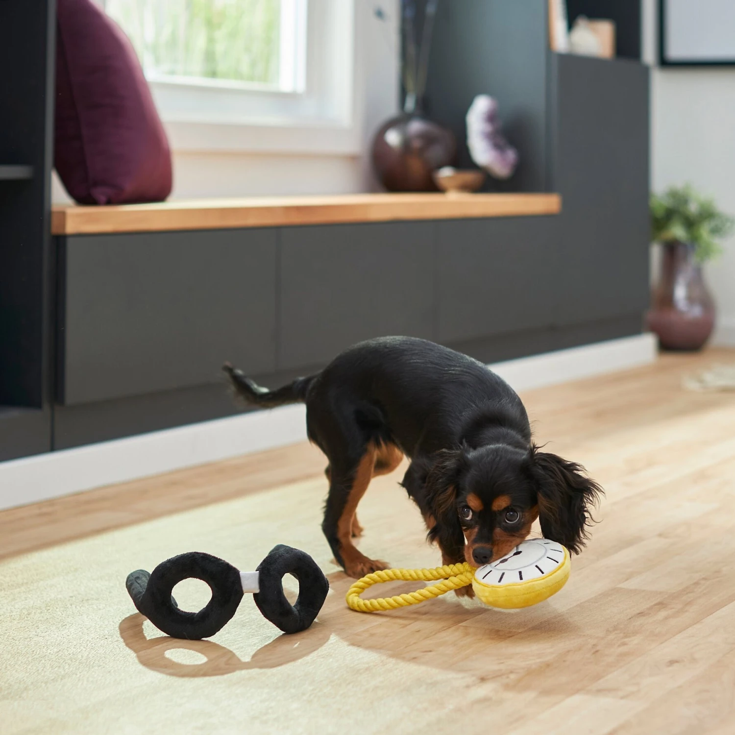Frisco Magic Pocket Watch & Glasses Plush Squeaky Dog Toy, 2 Count 5 Frisco Magic Pocket Watch & Glasses Plush Squeaky Dog Toy, 2 Count - Image 3