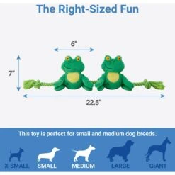 Frisco Magic Frog Plush With Rope Squeaky Dog Toy 6 Frisco Magic Frog Plush With Rope Squeaky Dog Toy -Frisco 265606 PT1. AC SS1800 V1623352127