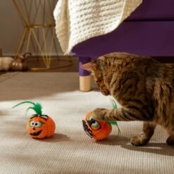 Frisco Halloween Nerdy Jack-o-Lanterns Plush Cat Toy With Catnip, 2 Count 8 Frisco Halloween Nerdy Jack-o-Lanterns Plush Cat Toy With Catnip, 2 Count -Frisco 270313 PT3. AC SS1800 V1624824951