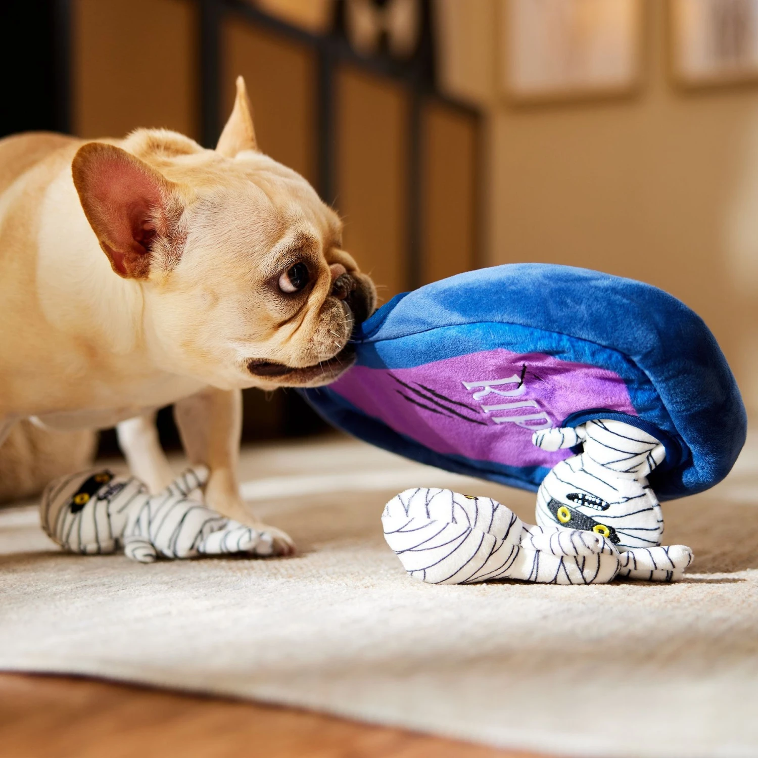 Frisco Halloween Mummy & Coffin Hide & Seek Puzzle Plush Squeaky Dog Toy 6 Frisco Halloween Mummy & Coffin Hide & Seek Puzzle Plush Squeaky Dog Toy - Image 4