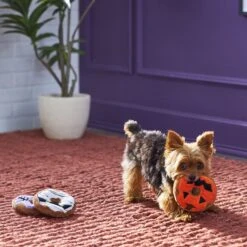 Frisco Halloween Donuts Plush Squeaky Dog Toy 9 Frisco Halloween Donuts Plush Squeaky Dog Toy -Frisco 270369 PT3. AC SS1800 V1624817409