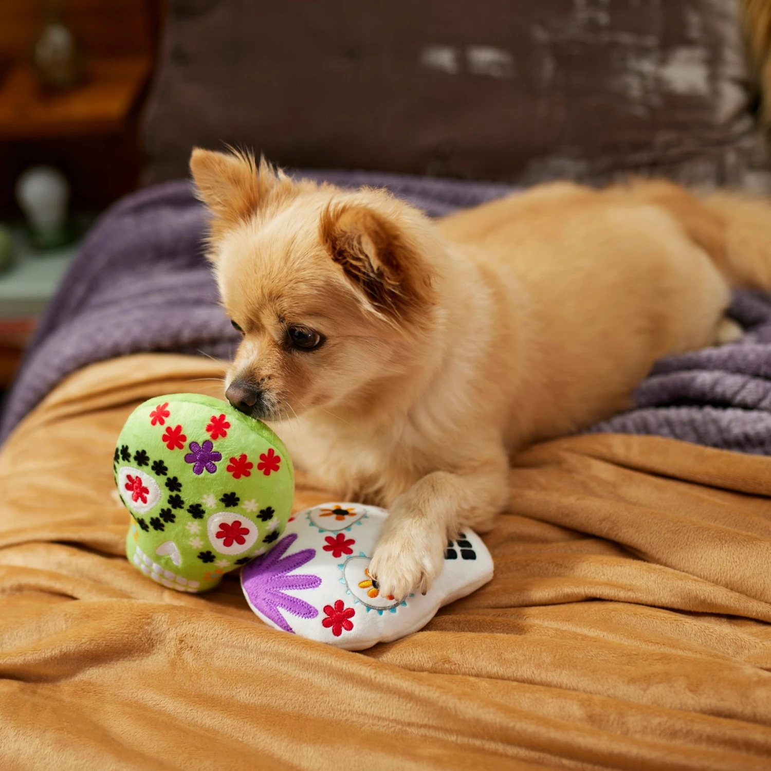 Frisco Halloween Day Of The Dead Sugar Skull Plush Squeaky Dog Toy, 2 Count 5 Frisco Halloween Day Of The Dead Sugar Skull Plush Squeaky Dog Toy, 2 Count - Image 3