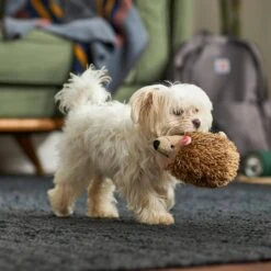 Frisco Camping Hedgehog Plush Squeaky Dog Toy -Frisco 270995 PT3. AC SS1800 V1625009251