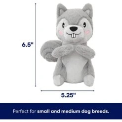Frisco Camping Squirrel Plush Squeaky Dog Toy 9 Frisco Camping Squirrel Plush Squeaky Dog Toy -Frisco 271001 PT1. AC SS1800 V1686579631