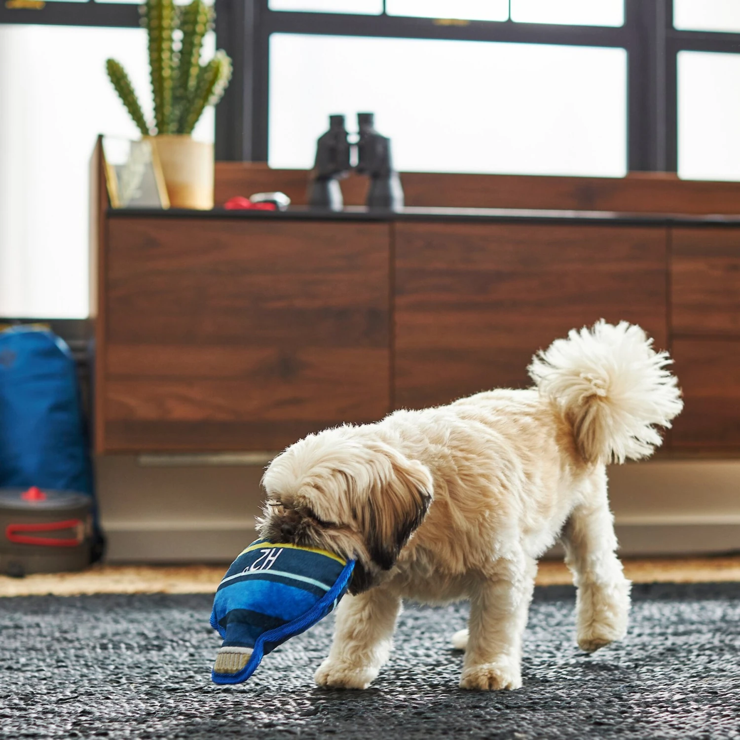 Frisco Camping Canteen Plush With Rope Squeaky Dog Toy 5 Frisco Camping Canteen Plush With Rope Squeaky Dog Toy - Image 3