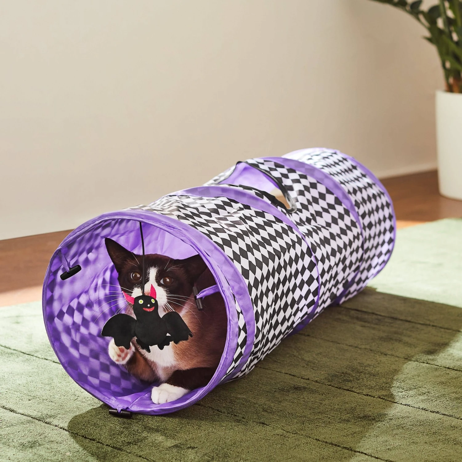 Frisco Halloween Checkered Foldable Play Tunnel Cat Toy With Catnip 3 Frisco Halloween Checkered Foldable Play Tunnel Cat Toy With Catnip
