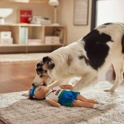 Frisco Gym Teacher Plush Squeaky Dog Toy -Frisco 279447 PT3. AC SS1800 V1628191161